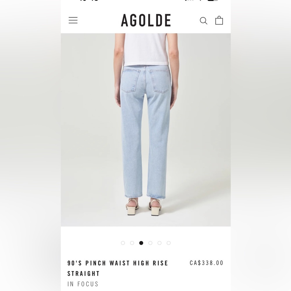 AGOLDE 90's Pinch Waist High Rise Straight Jeans - Light Blue